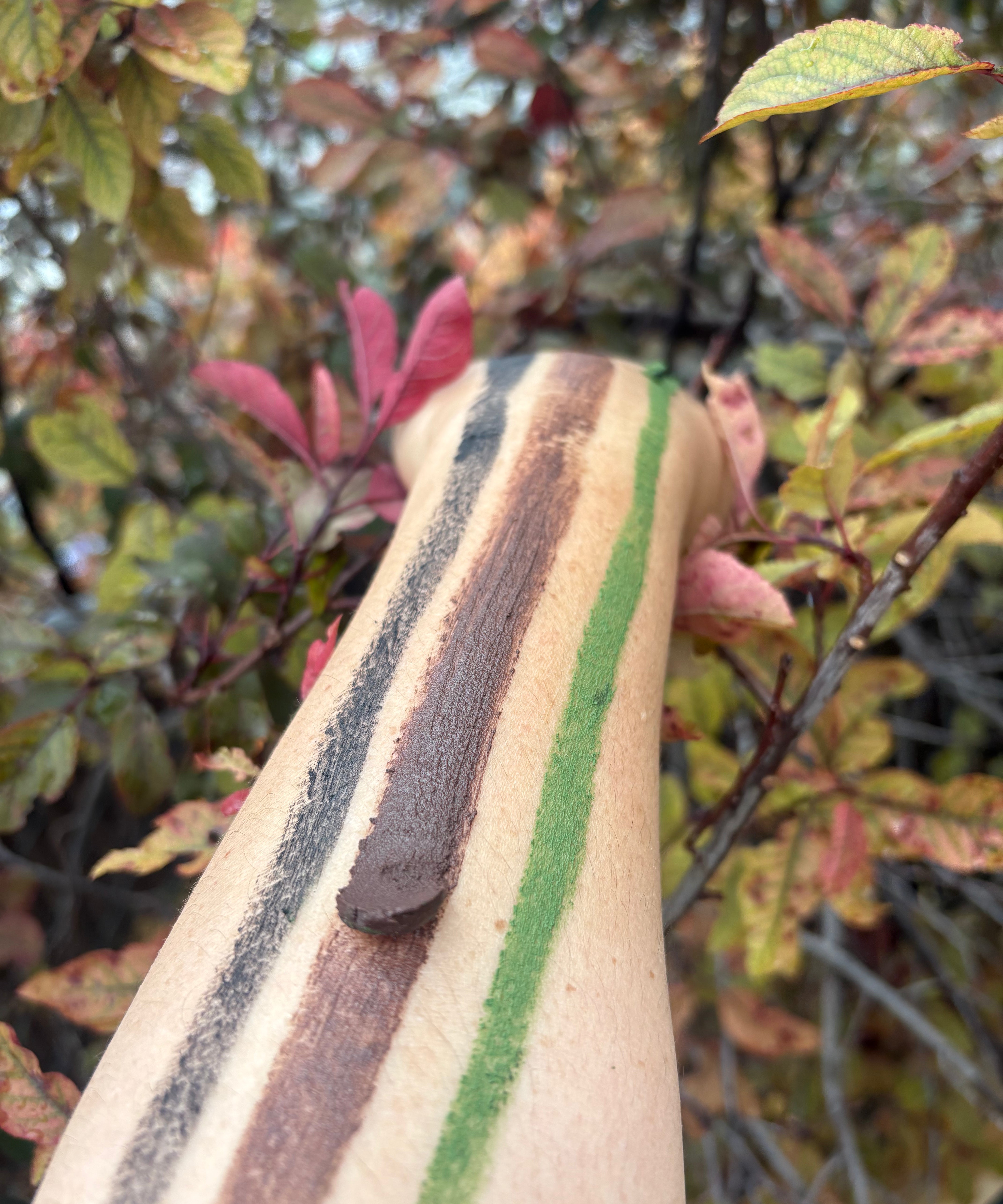 A close-up of a forearm with three painted color bands: a dark brown stripe, a green stripe, and a black stripe, shown outdoors against blurred autumn leaves.
