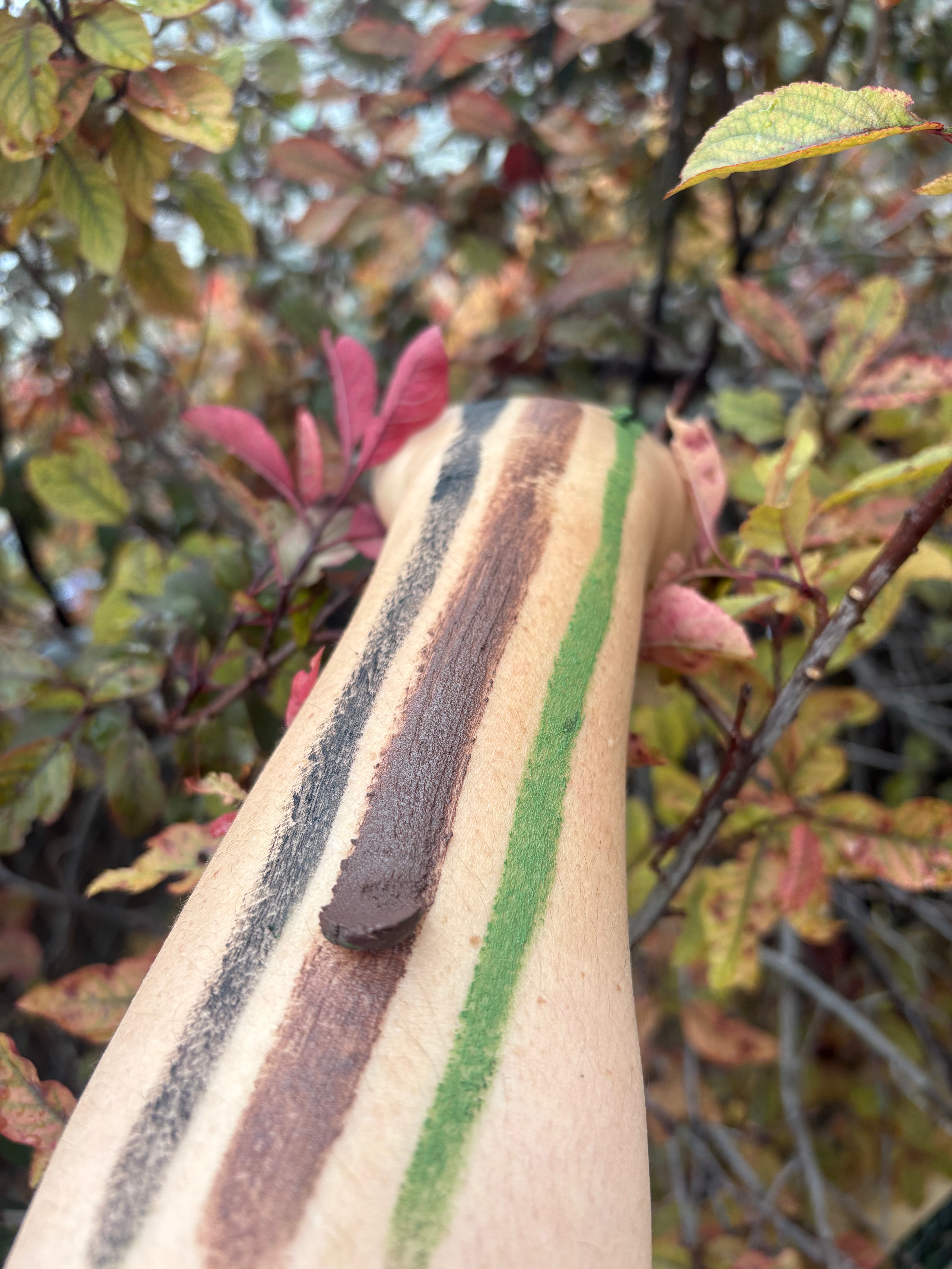 A close-up of a forearm with three painted color bands: a dark brown stripe, a green stripe, and a black stripe, shown outdoors against blurred autumn leaves.